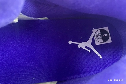 DD0587-141 Fashionable CONCORD Air Jordan5 587 0730